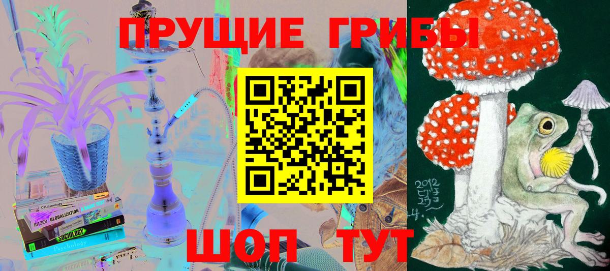 цена наркотик  Псилоцибиновые грибы мицелий  Вход с VPN  Приморско-Ахтарск 
