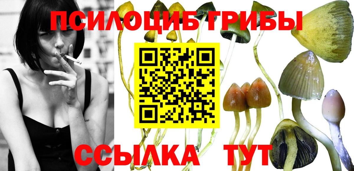 Галлюциногенные грибы Psilocybine cubensis Приморско-Ахтарск